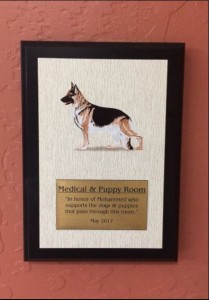 Photo of kennel sponsorship plaque